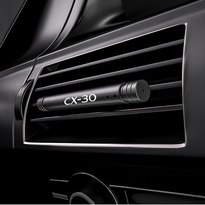 Car perfume supplies air condi - Perfume Fragrance Stick 리뷰 및 가격