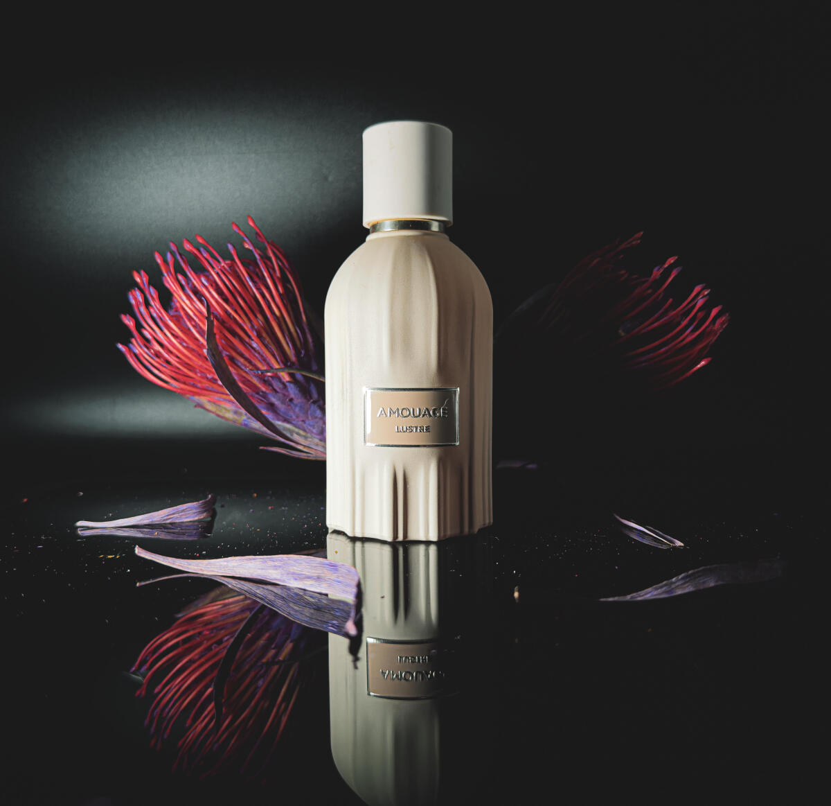 Amouage Royal Collection Jubil - Perfume Royal Fragrance 리뷰 및 가격