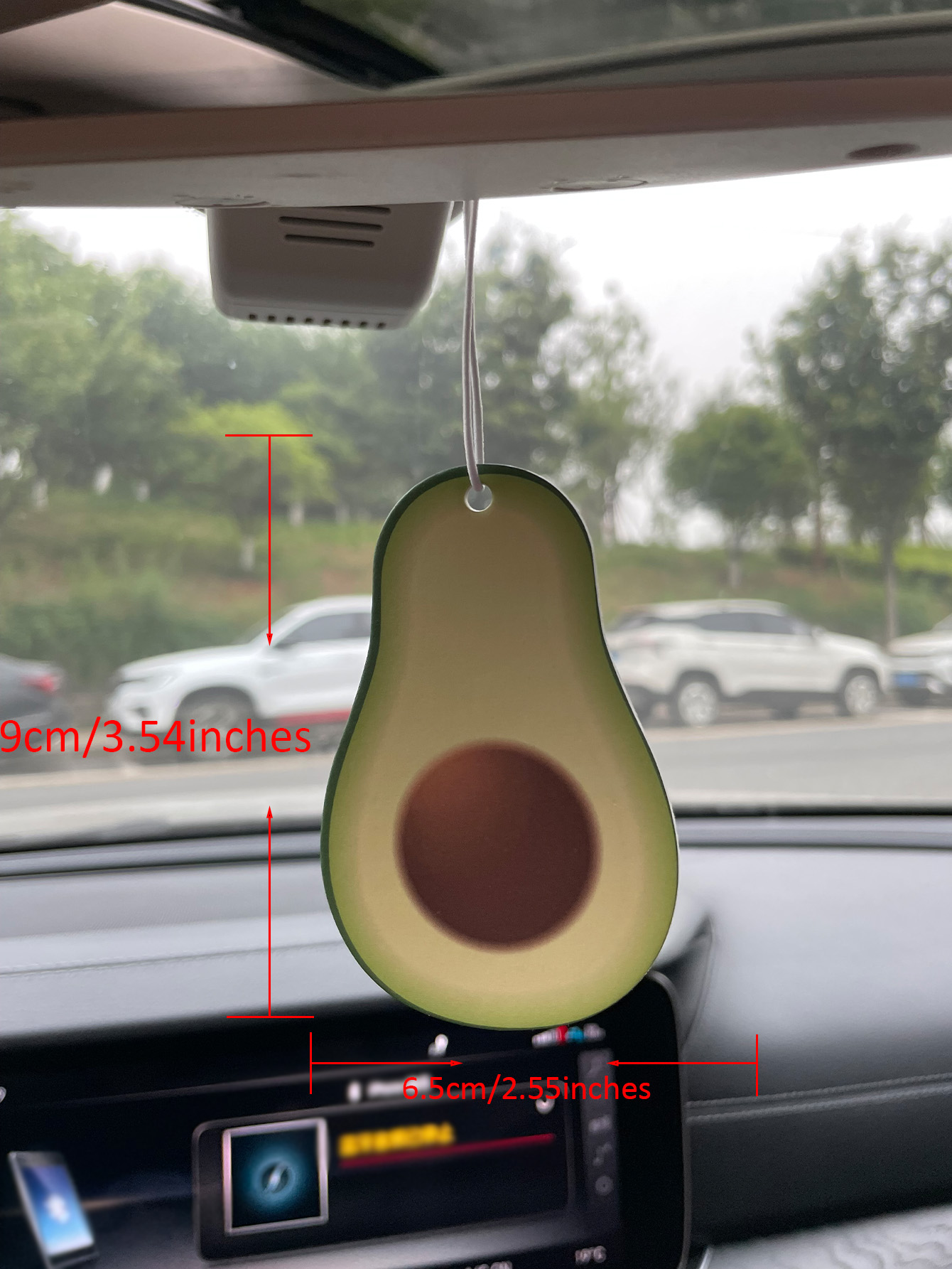 Avocado Special Edition Cologn - Perfume Fragrance For Room 리뷰 및 가격