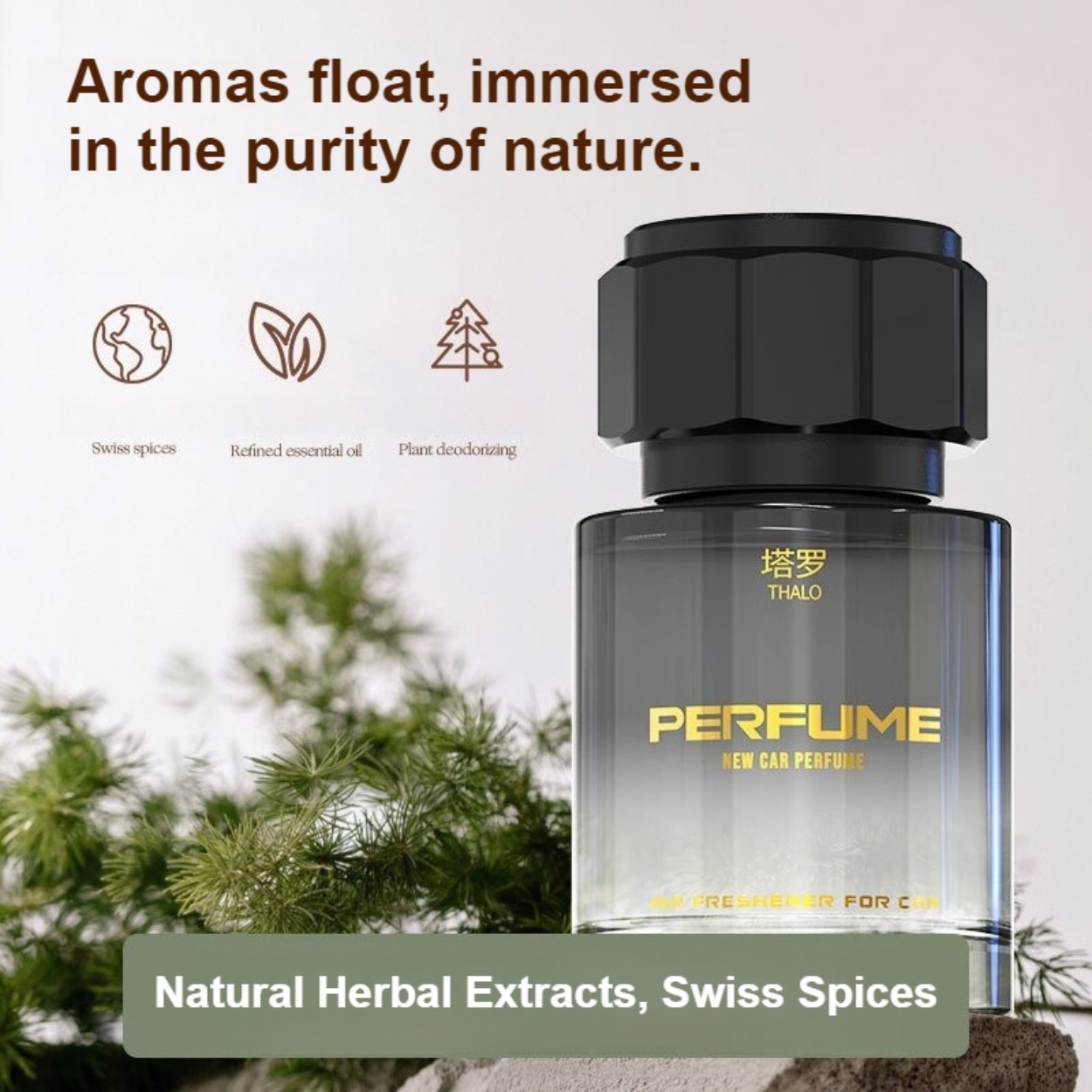 Men's Perfume: Long-Lasting, F - Perfume Fragrance Free 리뷰 및 가격