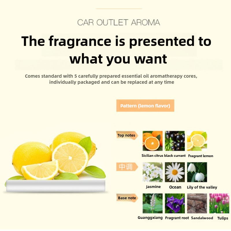 Car aromatherapy stick refill  - Perfume Fragrance Stick 리뷰 및 가격